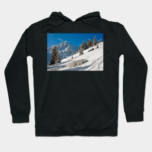 Courchevel 1850 3 Valleys French Alps France Hoodie